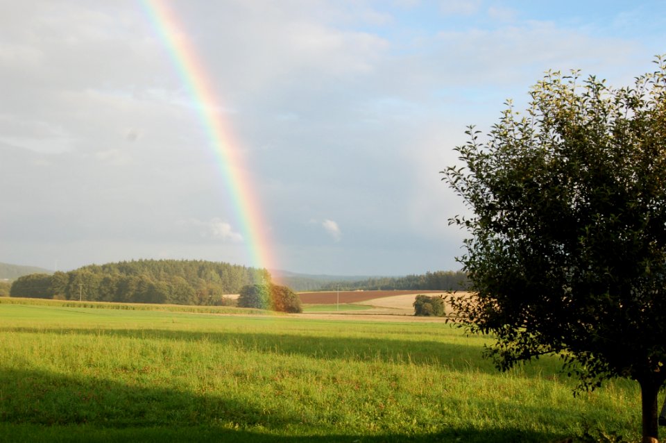 Rainbow Field Sky Grassland