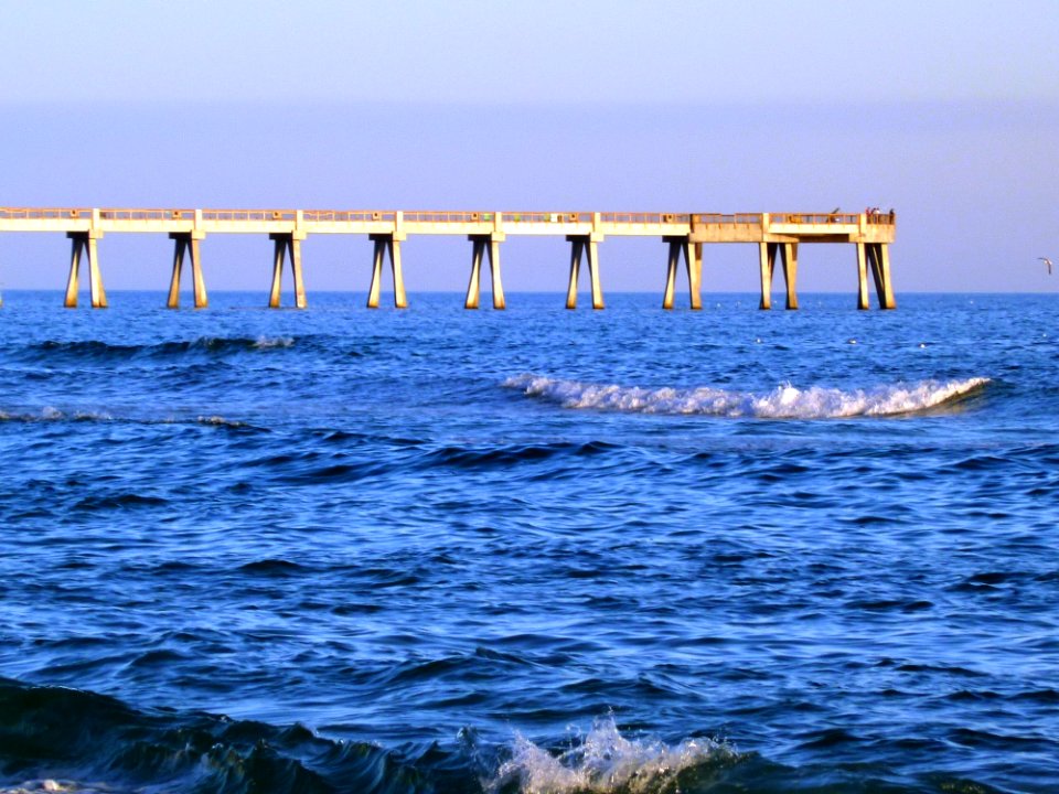 Sea Ocean Water Horizon