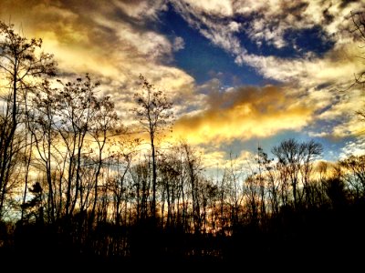 Sky Cloud Nature Tree photo