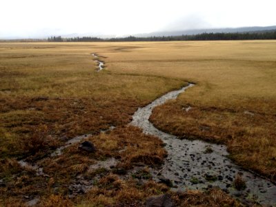 Wetland Marsh Tundra Ecosystem photo