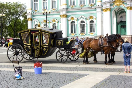 Carriage Horse And Buggy Mode Of Transport Coachman photo