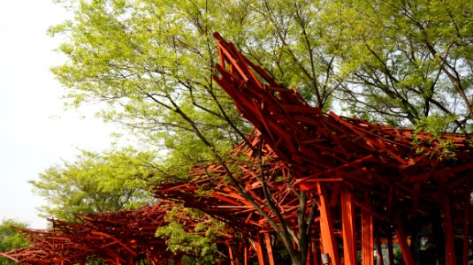 Leaf Tree Vegetation Plant