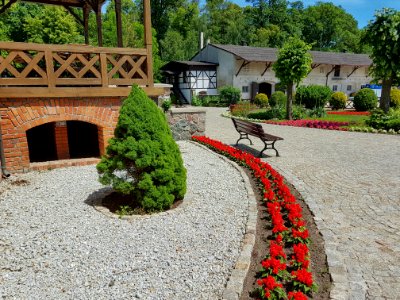 Plant House Path Tree photo