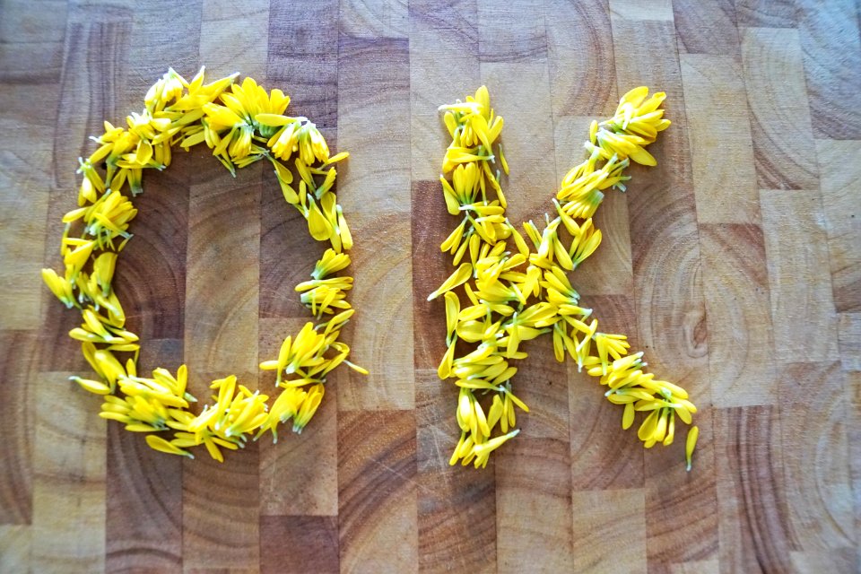 Yellow Flower Lei