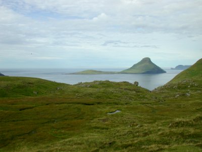 Highland Loch Fell Ecosystem