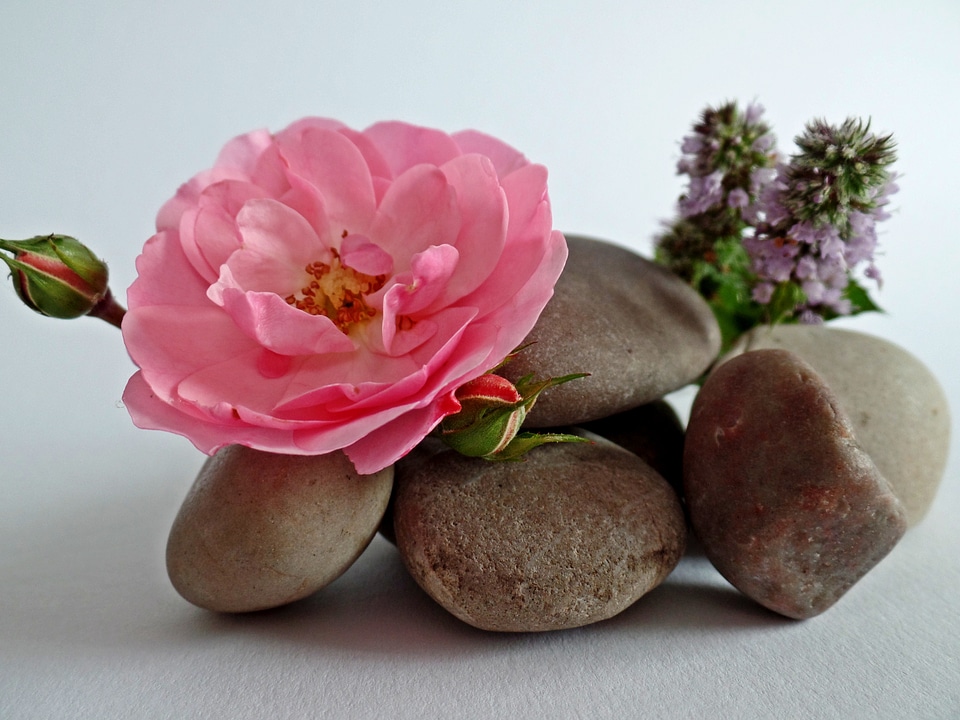 Meditation patience relaxation