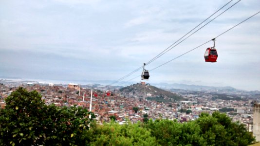 Sky City Hill Station Tree