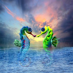 Water Fish Organism Seahorse photo