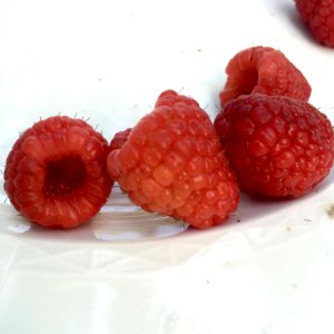 Fruit Berry Natural Foods Raspberry photo