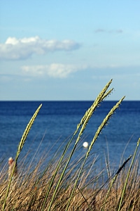 Blue sky sea photo