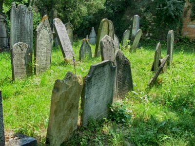 Grave Cemetery Headstone Grass photo