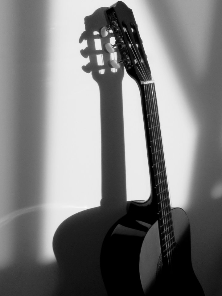 Guitar Musical Instrument String Instrument Accessory Black And White