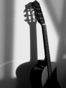 Guitar Musical Instrument String Instrument Accessory Black And White photo