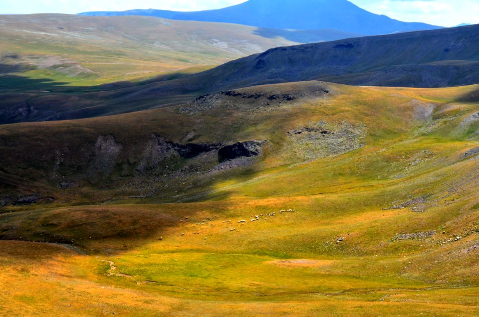 Highland Grassland Ecosystem Hill