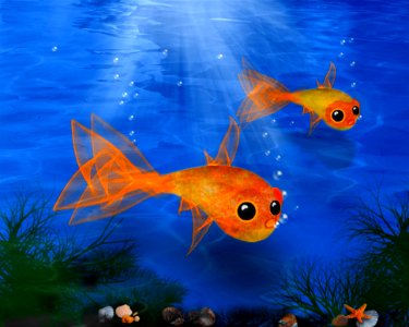 Fish Marine Biology Ecosystem Goldfish photo