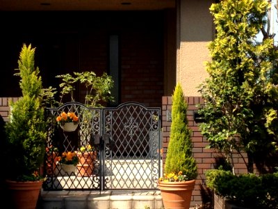 Property Home Plant Porch