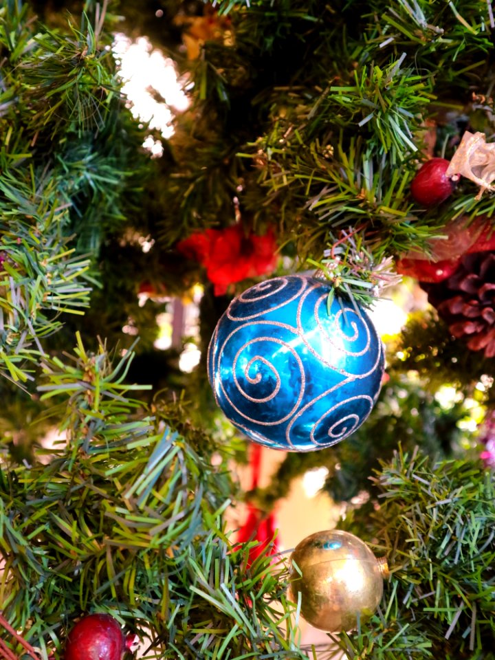Christmas Decoration Christmas Ornament Christmas Evergreen