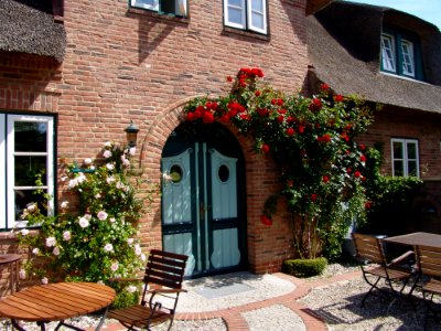 Property House Cottage Flower