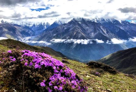 Mountainous Landforms Mountain Wilderness Mount Scenery