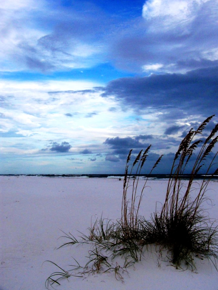 Sky Horizon Shore Cloud