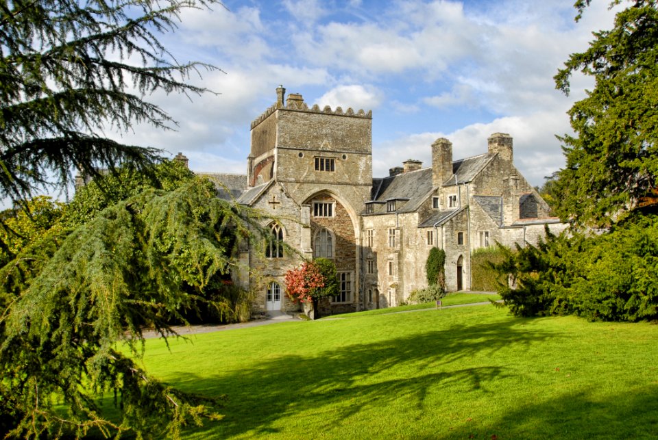 Property Stately Home Estate Tree