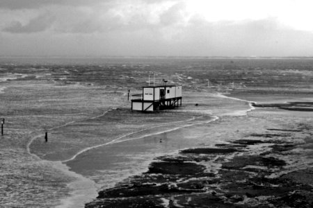 Sea Black And White Coast Shore
