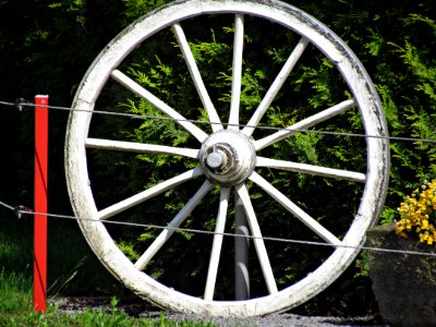 Wheel Motor Vehicle Spoke Bicycle Wheel photo