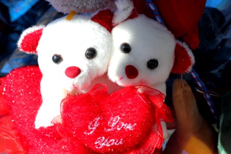 Red Stuffed Toy Teddy Bear Textile photo