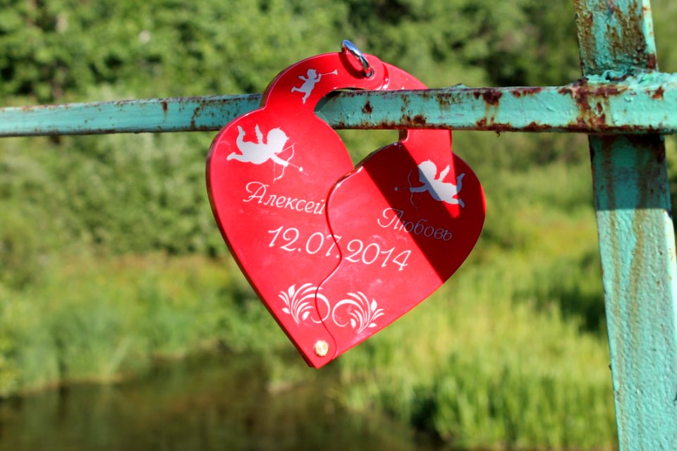 Red Love Grass Heart