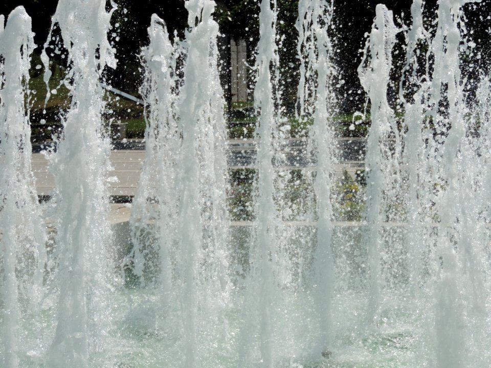 Water Water Feature Tree Water Resources