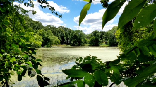 Vegetation Nature Nature Reserve Water