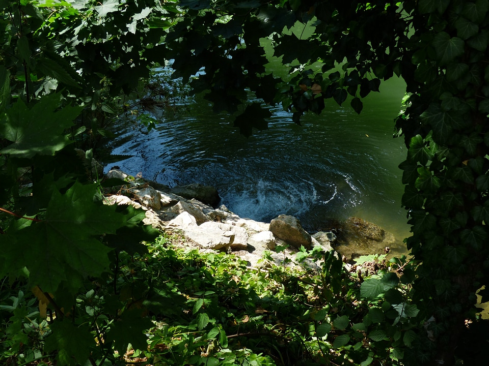 Bach river stones photo