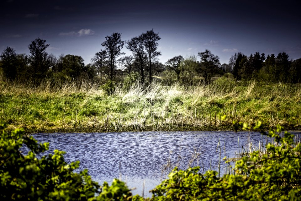 Nature Water Vegetation Sky