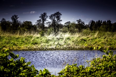 Nature Water Vegetation Sky