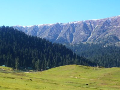 Grassland Highland Ecosystem Mountainous Landforms photo