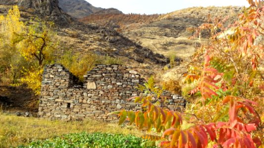 Leaf Autumn Rock Tree