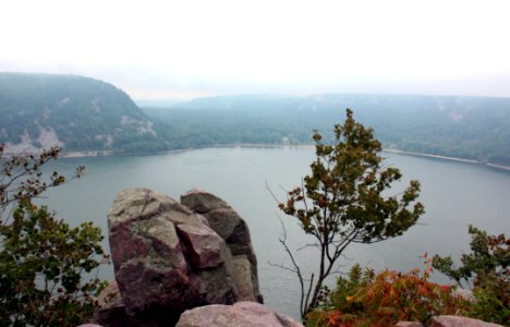 Wilderness Lake Hill Station Tree photo