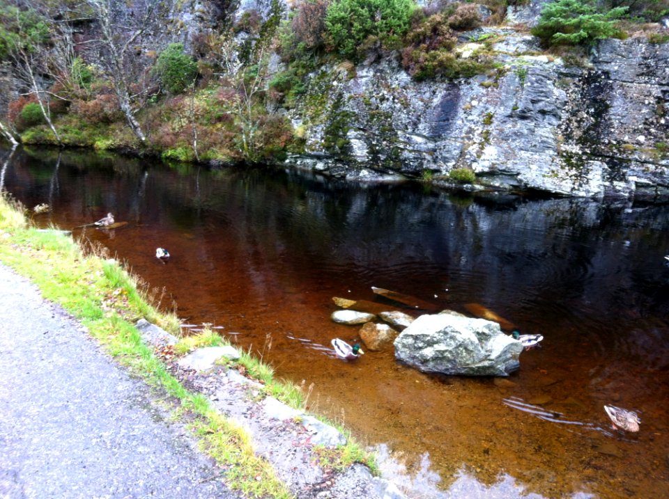Body Of Water Water Stream Water Resources