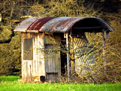 House Grass Shack Shed photo