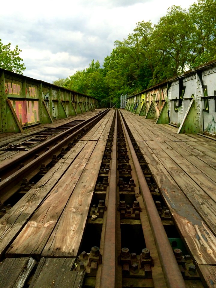 Track Transport Rail Transport Tree