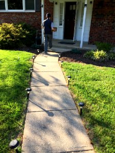 Walkway Path Lawn Grass photo