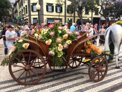 Carriage Vehicle Mode Of Transport Cart