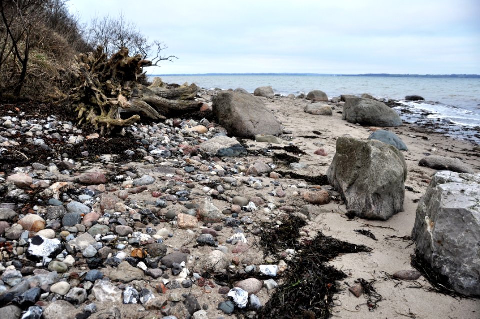 Rock Shore Coast Water photo