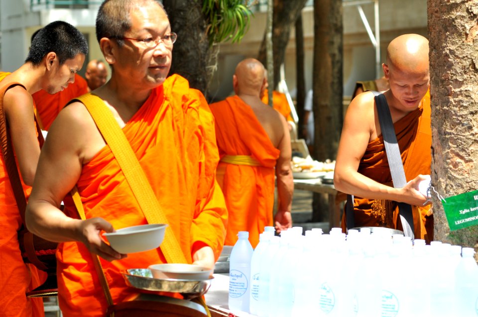Monk Temple Ritual Blessing