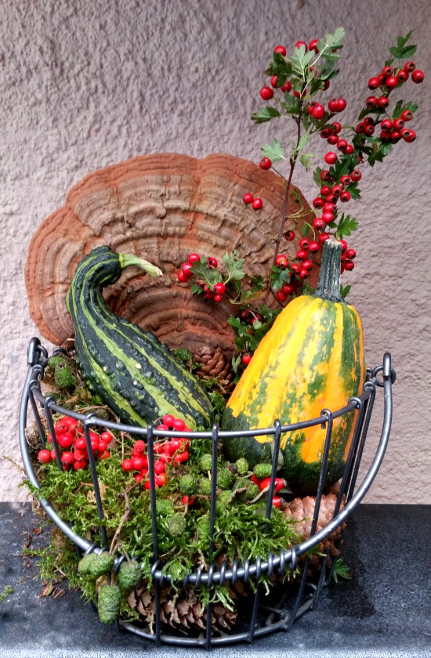 Flowerpot Plant Floristry Flower Arranging photo