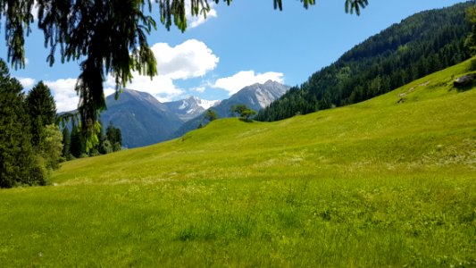 Grassland Mountainous Landforms Nature Mountain Range