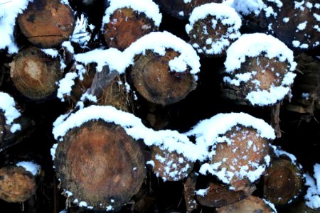 Rum Ball Muffin Powdered Sugar