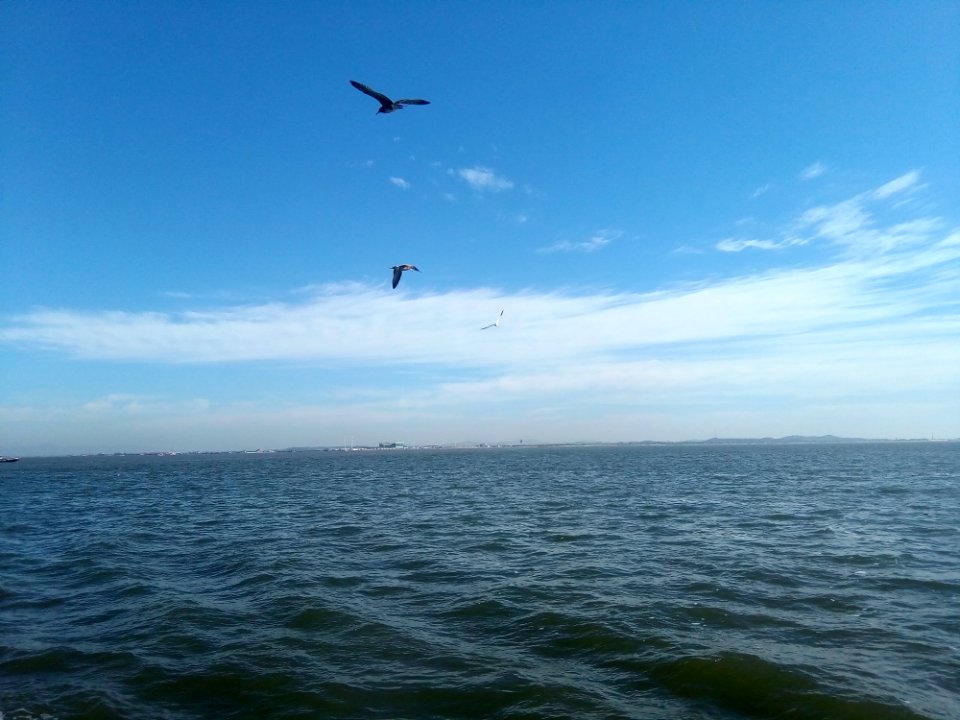 Sky Sea Horizon Ocean