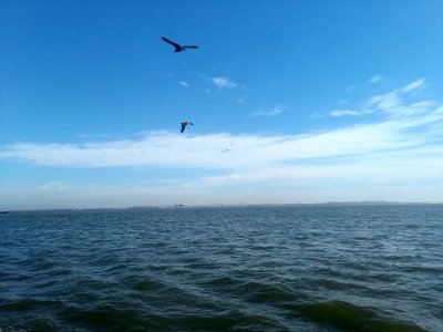 Sky Sea Horizon Ocean