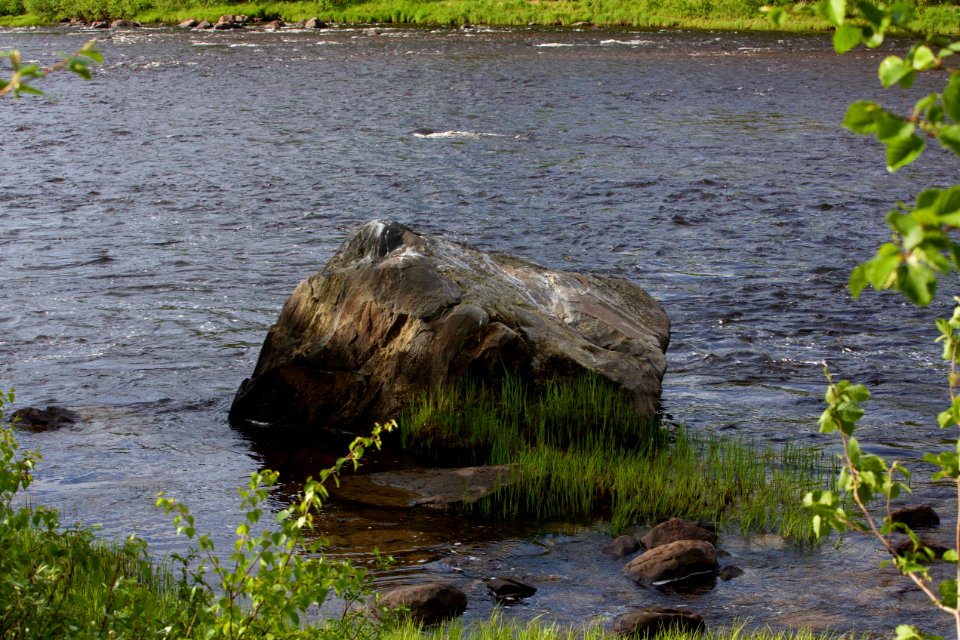 Water Nature Reserve Bank River